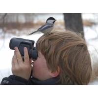 5th Annual Granger-Hunt Christmas Bird Count