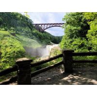 Overlooking Nature at Letchworth Furs and Skulls