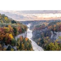 Overlooking Nature at Letchworth - Nature of Letchworth