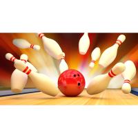 Veterans and Family - Bowling Brigade