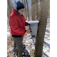 Maple Saturday - Winter Tree I.D. walk