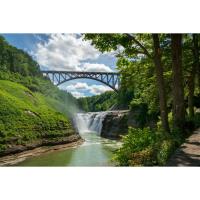 Home Ecologist Program at Letchworth - Forest Succession