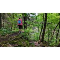 A guided hike through the Sonyea Forest with a Letchworth Naturalist