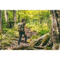 Hiking in Letchworth with a guide