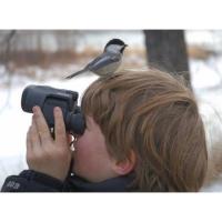 I bird NY challenge