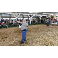 4-h Livestock Auction