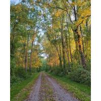 Hike the Greenway with a guide.