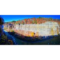 Take a walk in the woods at Letchworth from Archery Field to Chestnut Lawn