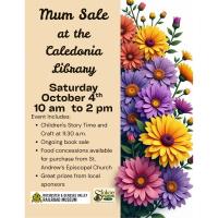 A full day of fun at the Caledonia Library