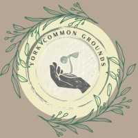 York Common Grounds Holiday Shopping