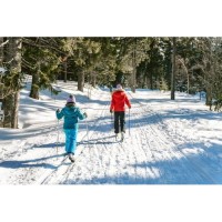 Cross Country Ski or Hike in Old Growth Woods