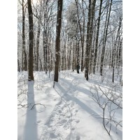 Winter Treks : St. Helena Valley-East