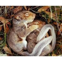 Knee High Naturalists Program at Letchworth Hibernation Station