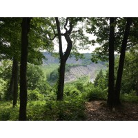 Hike from Silver Lake to Hogsback at Letchworth