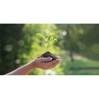 Family Earth Day Celebration at Letchworth