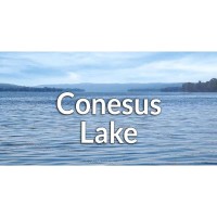Conesus Lake Clean-Up Day.