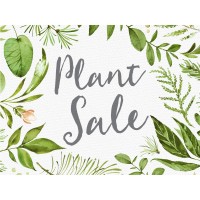 Geneseo Garden Club Annual Plant Sale