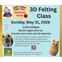 3D Felting Class