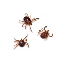 Tick Talk Learn about tick bite prevention