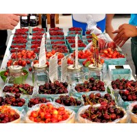 Avon Farmers Market
