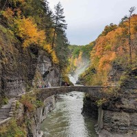 Then and Now: Lower Falls on the Move, guided hike