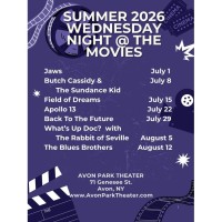 Wednesday Night at the Movies at the Avon Park
