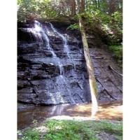 Summer Trek - Dishmill Creek