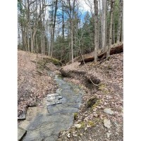 Explore Letchworth - Denton Brook
