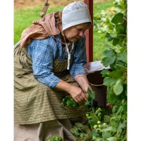Hop Festival at GCVM