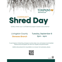 Shred Day