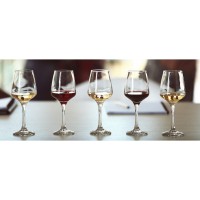 Vines and Virtues After Hours Tour