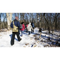 Guided Outings as Part of a Series Finger Lakes Trail Treks