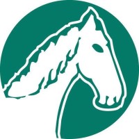 Featured Media