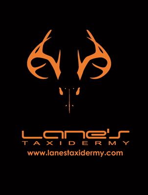 Lane's Taxidermy Studio
