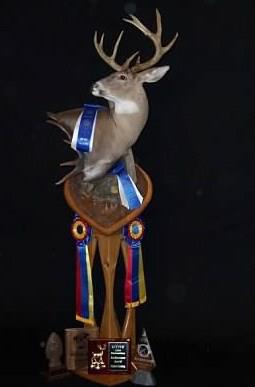 Lane's Taxidermy WASCO Most Artistic Entry