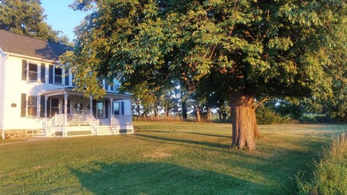 Gallery Image 3137524e-3020-4ead-afbf-f95d1baf69c9(1).jpg