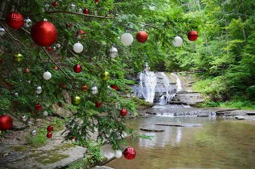 Gallery Image 485126475_1231402938986377_4919852039467942348_n.jpg