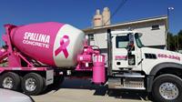 Gallery Image truck_72_-_Breast_Cancer_truck(2).jpg
