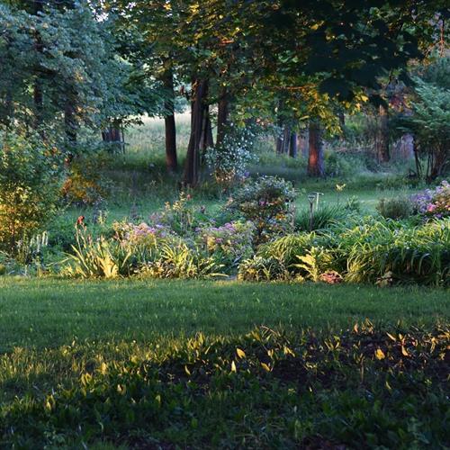 Gallery Image garden.jpg Gallery Image garden.jpg