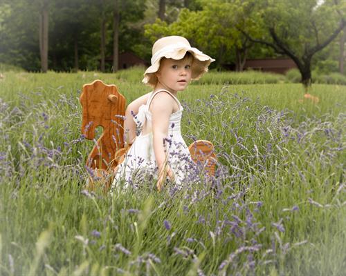 Small Business Collaboration and family photos in Lavender Fields
