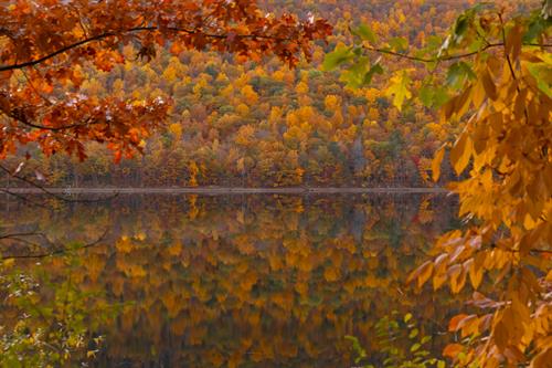 Fall in the Finger Lakes, images for purchase online