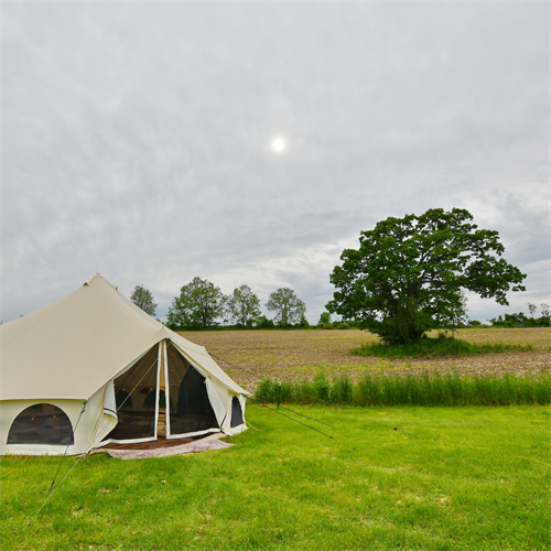 Gallery Image avalon.png