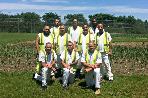 Image for Offenders with Green Thumbs at Kyle Correctional Center Improve their Lives and Feed the Hungry