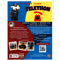 Telethon Kyle VFW