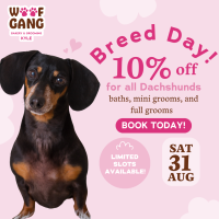 Woof Gang Breed Day!