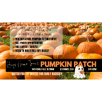 FREE Pumpkin Patch ?? Courtesy of Hays Home Team