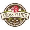  Cross Plants and Produce's Community Picnic ! 