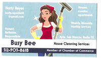 Busy Bee - Cleaning Lady - Kyle