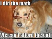 I did the math.  We can't afford the cat.