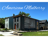 American Mulberry American Mulberry